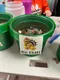 carousel chooser