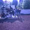 carousel chooser