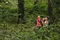 carousel chooser
