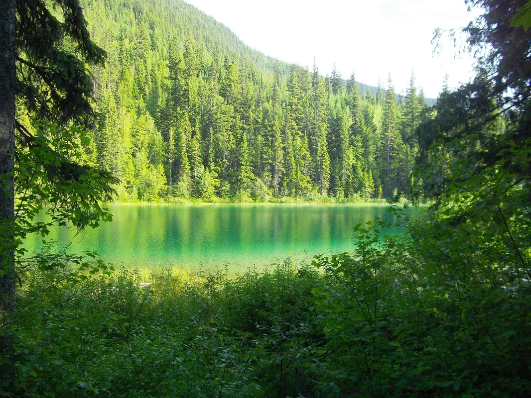 Picture