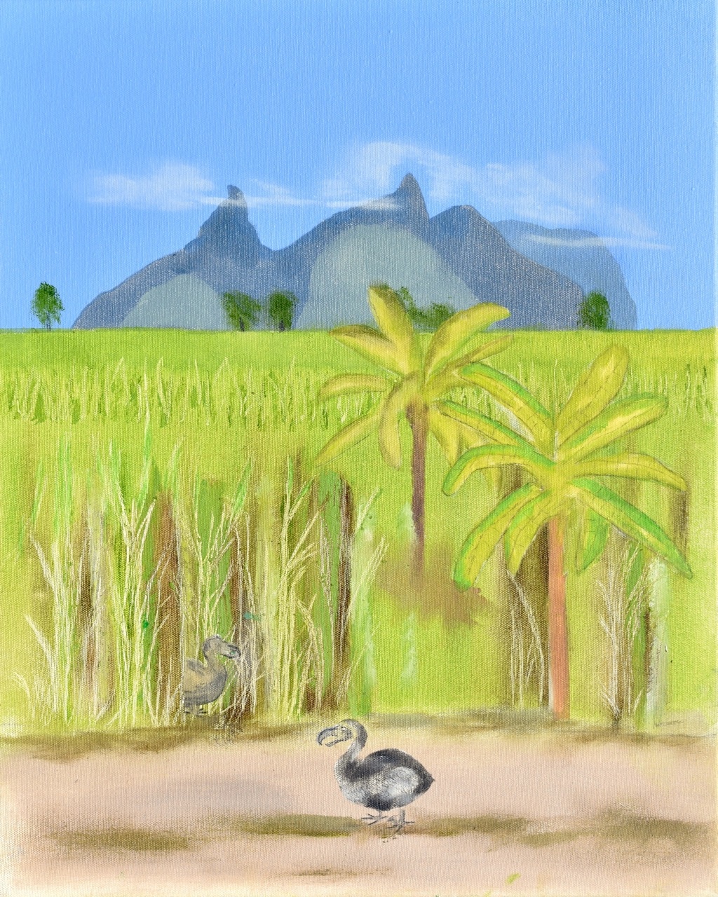Picture