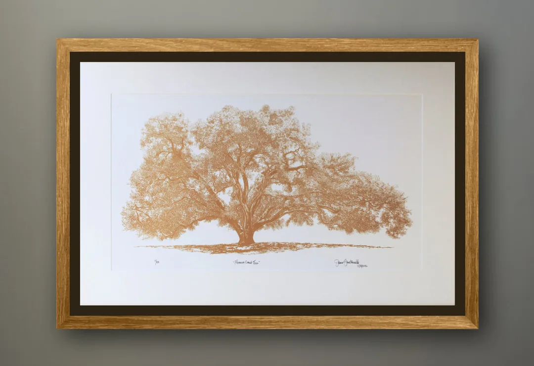 Promise Land Tara II Oak Tree Limited Edition Lithograph Prints by artist Jamie Santaniello created for Ms Oprah Winfrey's backsplash stone mural in 2003. This is the actual shape of Oprah's Favorite Oak Tree on her Montecito Estate she calls her Promised Land, formally called Tara ll. The tree drawing was sliced on the left side and redrawn to symmetrically fit the shape of the arched Jerusalem stone slab for Oprah's backsplash. 