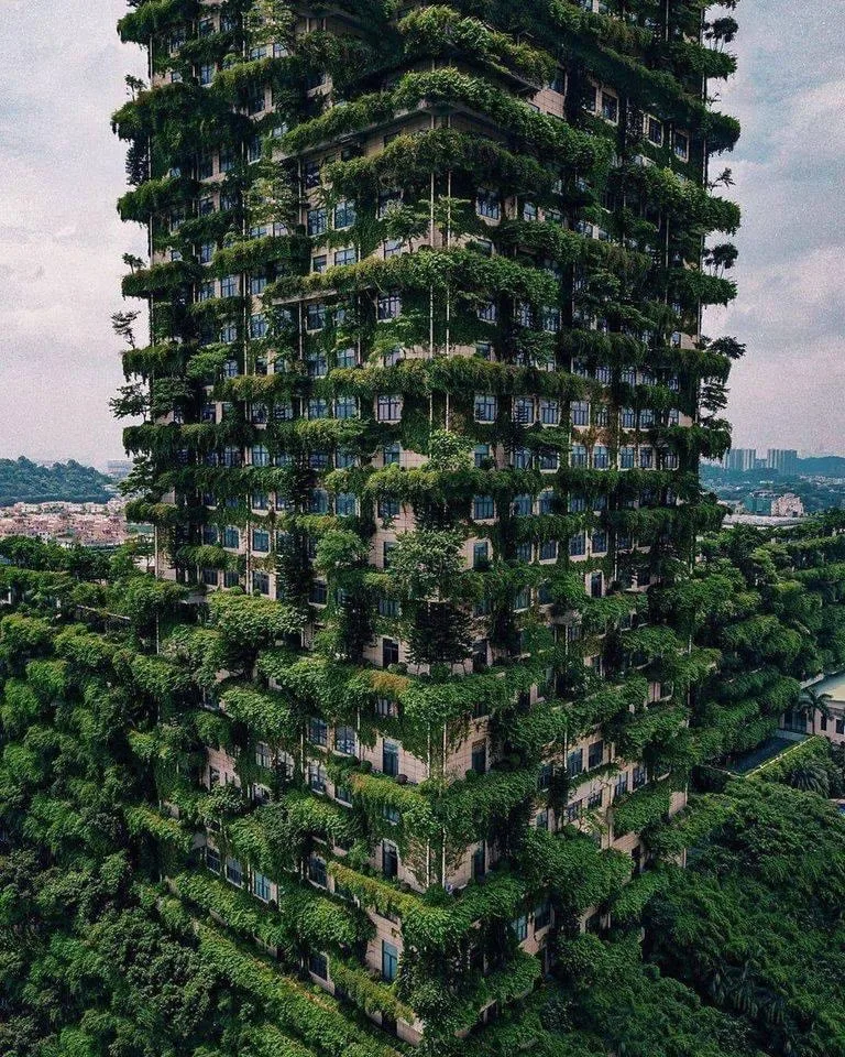 Highrise Building sequestering co2 producing oxygen naturally