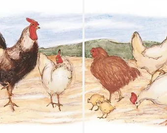 2 - Panel Chicken Murals