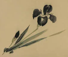 Image description