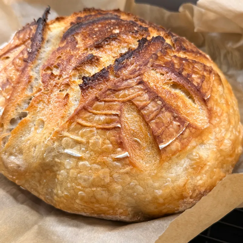 Classic Sourdough Boule