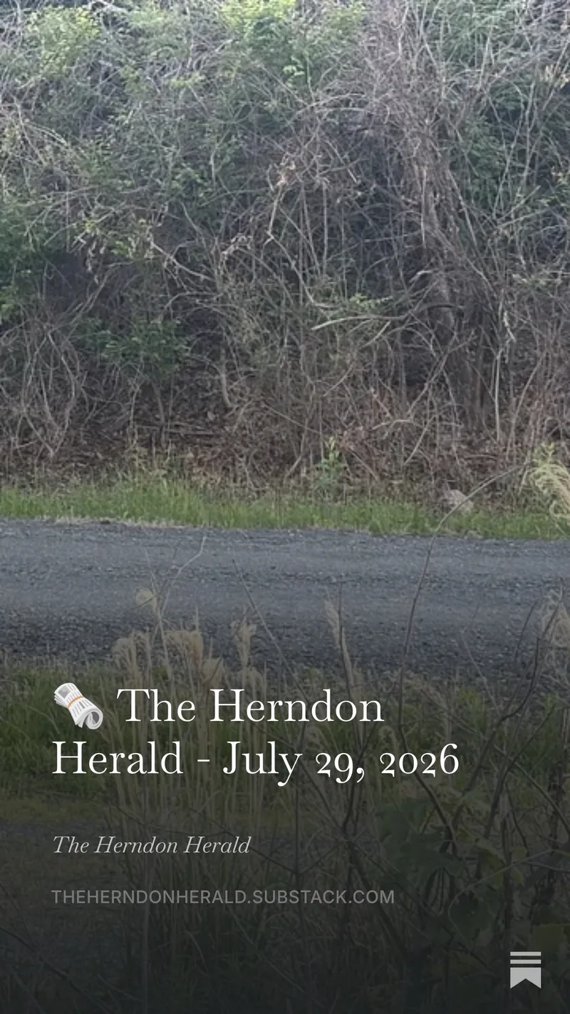 July 29, 2026