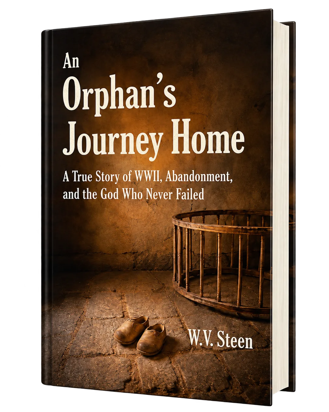 W.V. Steen's book, An Orphan's Journey Home