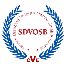 Service-Disabled Veteran-Owned Small Business certification badge for ABP Consulting Solutions
