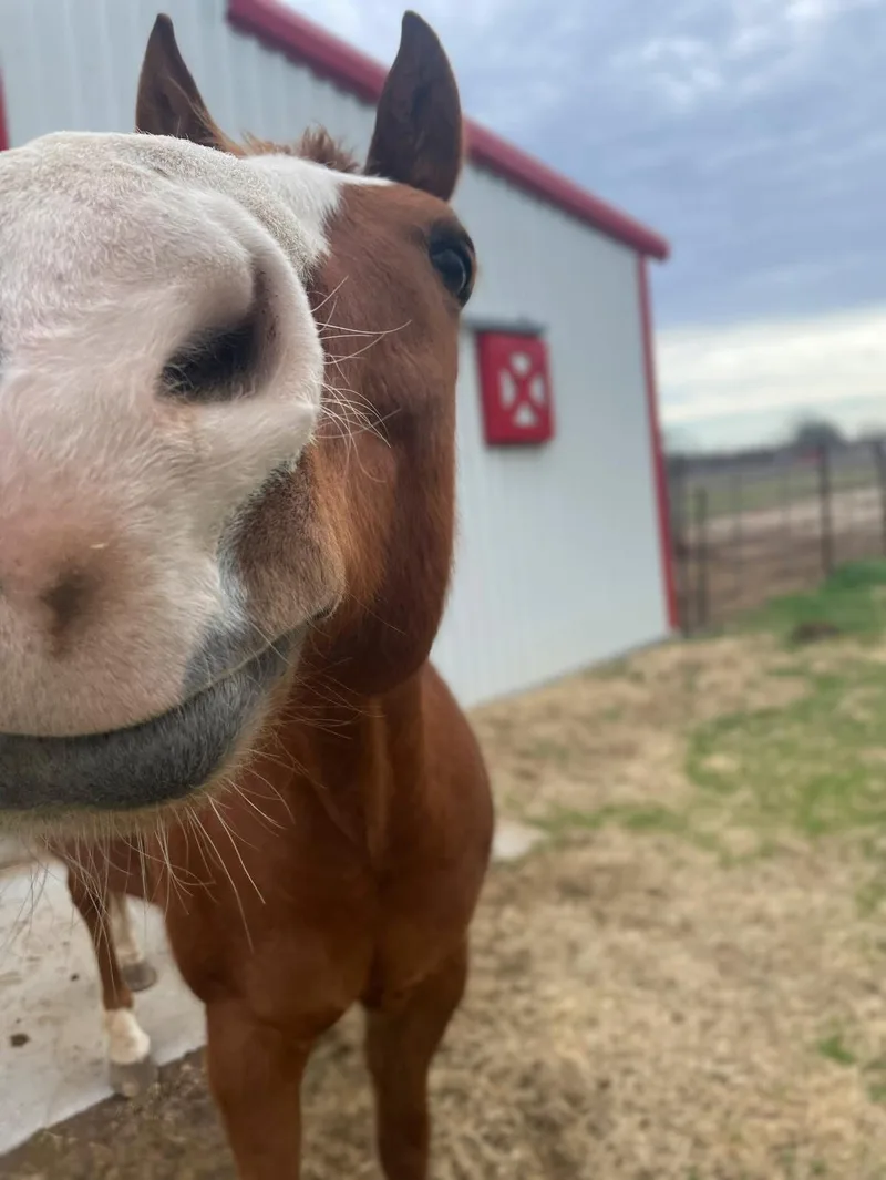 Mo' AKA Geronimo