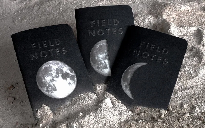 Field Notes LUNACY notebooks
