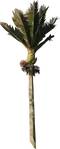 carousel chooser