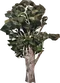 carousel chooser