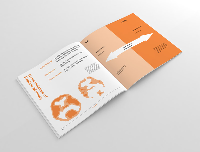 Thesis Project: 
The Alternative Textbook