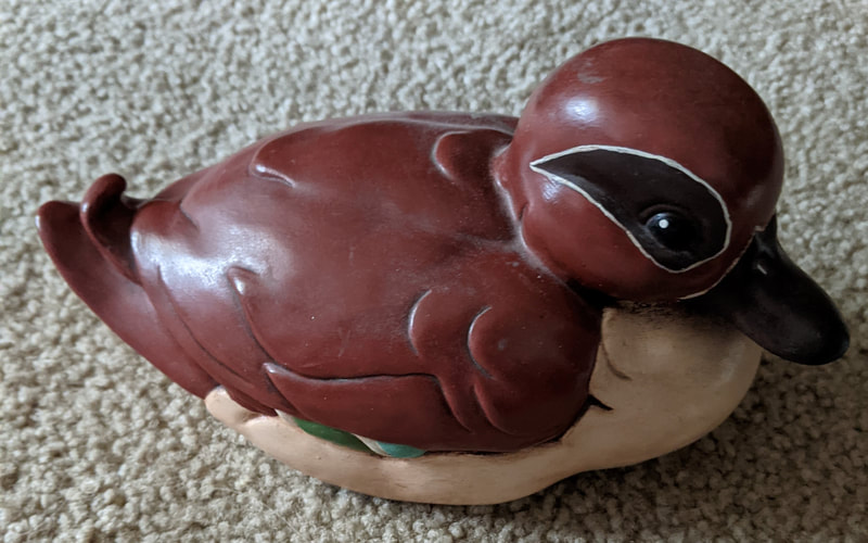 Duck