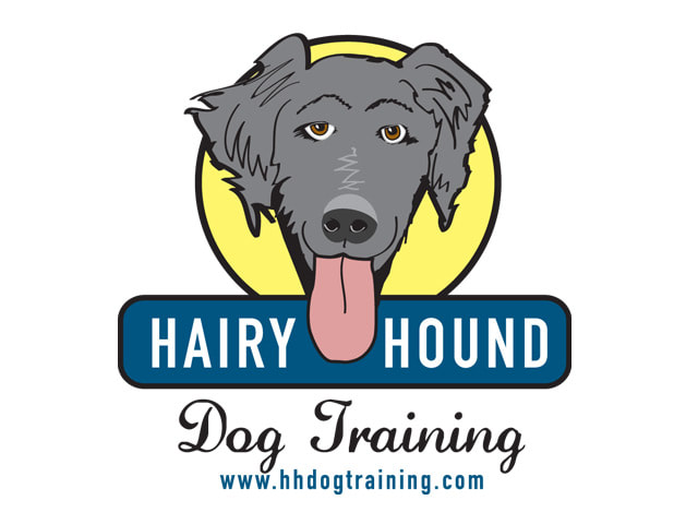 Hairy Hound dog training logo mark with hand-drawn dog face