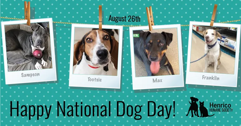 Henrico Humane National Dog Day banner with photos of dogs.