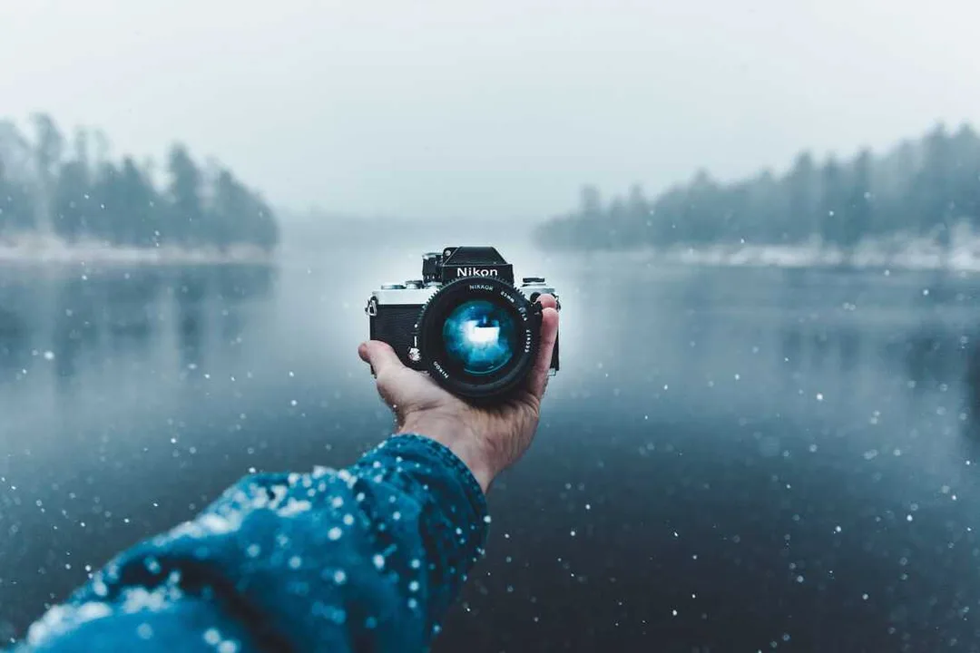 Picture