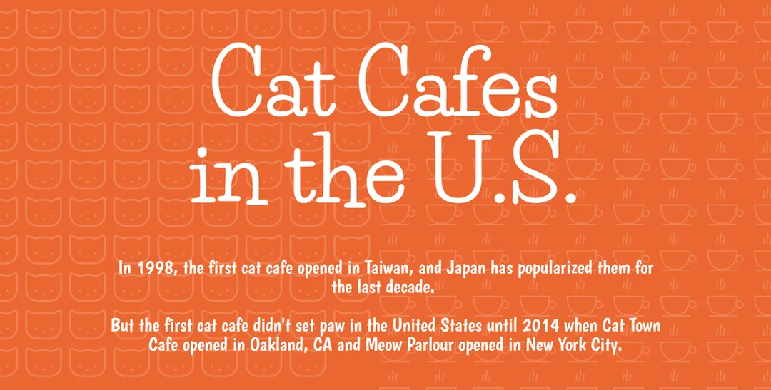 Cat Cafes in the U.S.