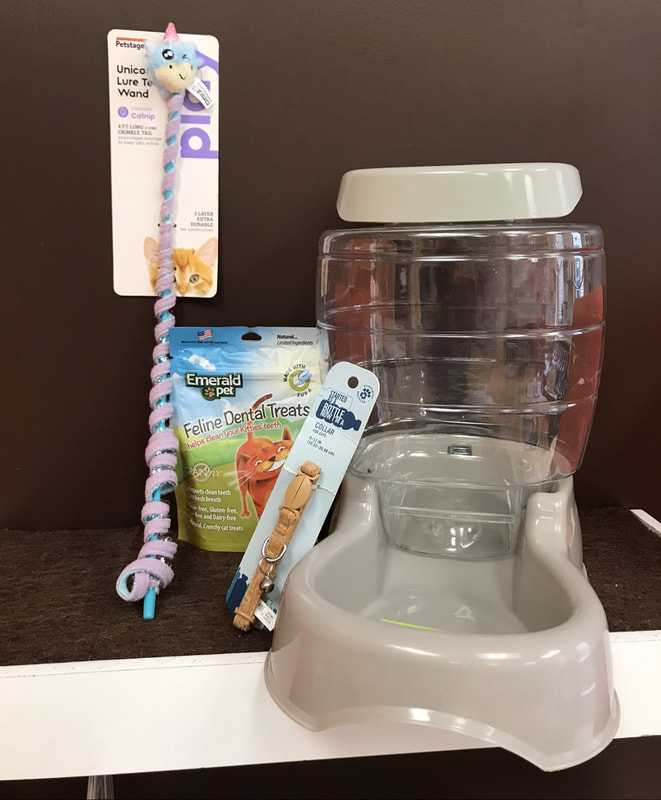 7. Large feeder, dental treats, collar, unicorn wand toy