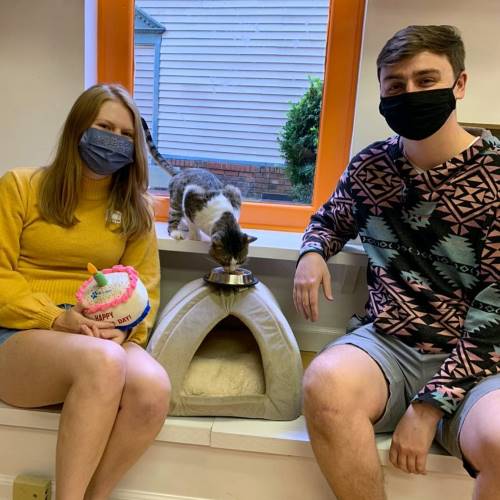 Adoption #183: Belgium