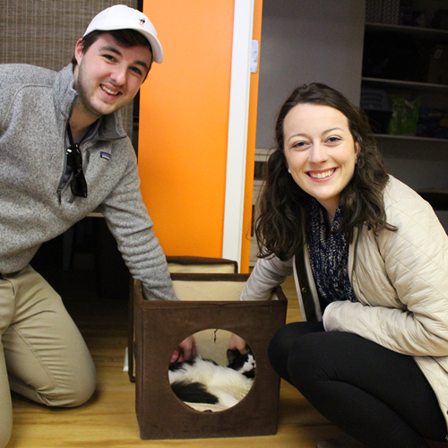Adoption #42: Bentley