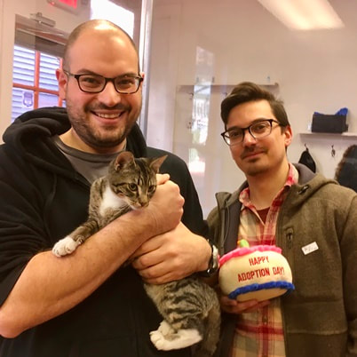 Adoption #81: Binx