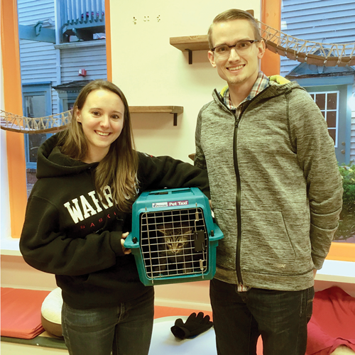 Adoption #35: Brent