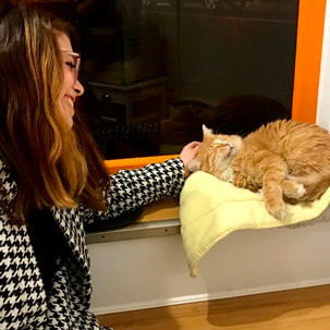 Adoption #73: Clover