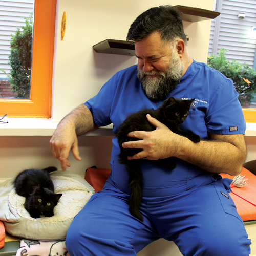 Adoptions #31 & #32: Ferdinand & Felix