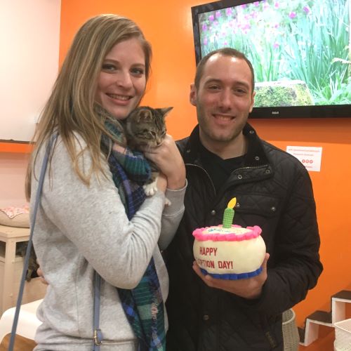 Adoption #111: Greta