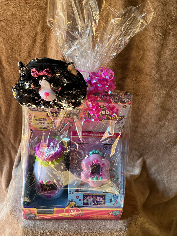 Raffle prize #5: Fairies Finder toy with cat purse
