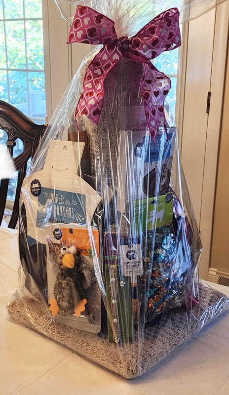 Raffle prize #11: Spoil your cat basket: Scratching post, toys, crinkle tunnel