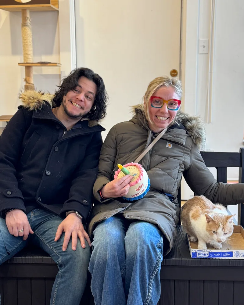 Adoption #1159: Indy