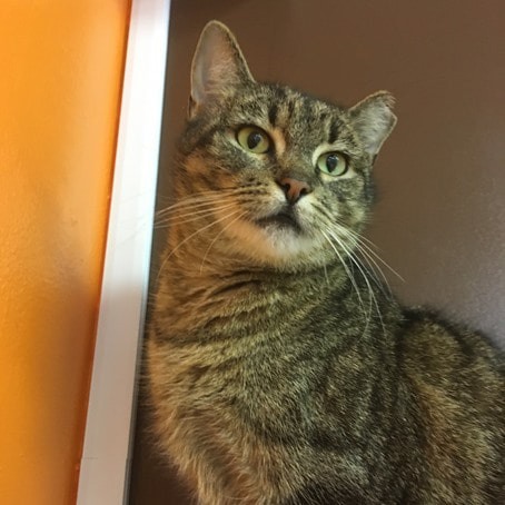 Adoption #57: Marina