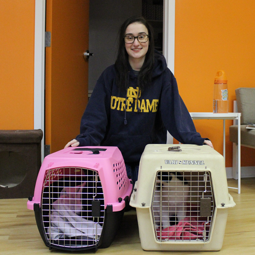 Adoptions #37 & #38: Midnight & Jasper