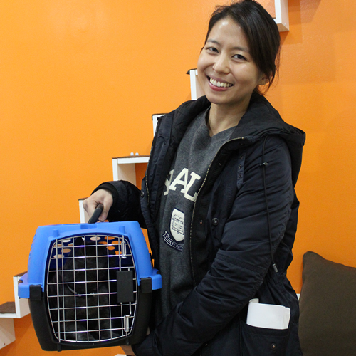 Adoption #26: Nova