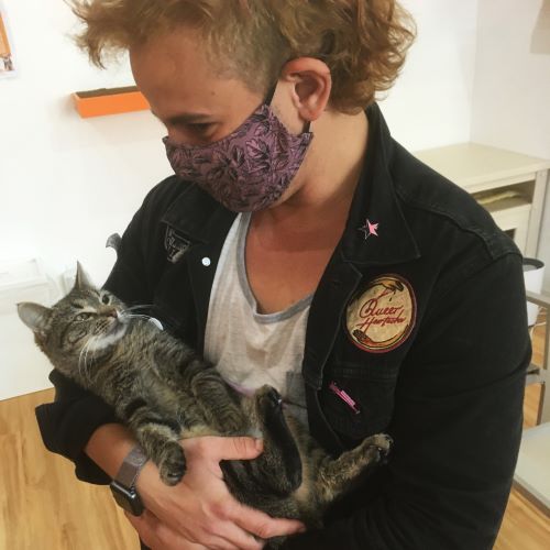 Adoption #187: Penny