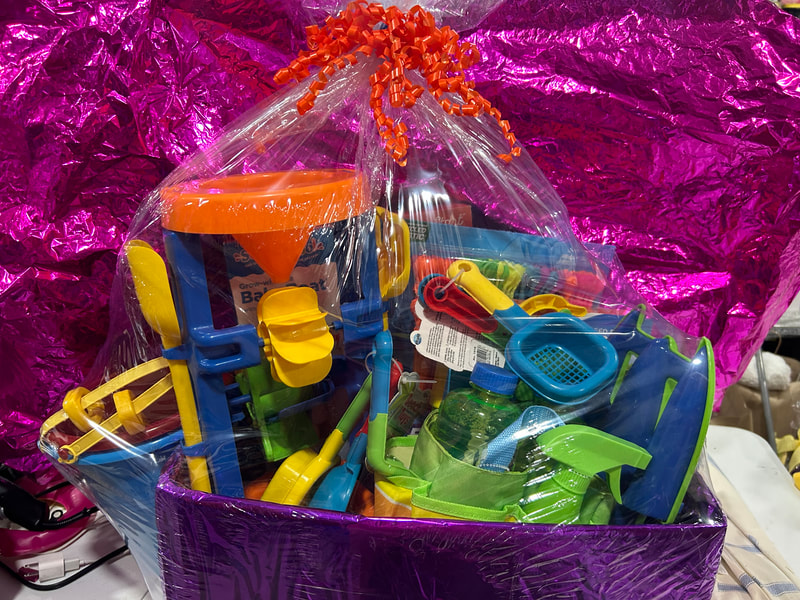 Prize #10 - Summer kids fun - Baby boat pool float, Banzai speed blast water slide, Zuru ‘bunch o balloons’ (265 self sealing water balloons), pails, shovels, sand toys, 64 oz of bubbles.