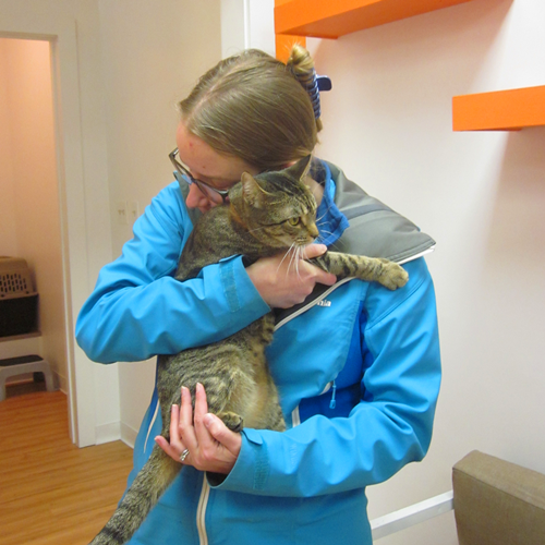 Adoption #5: Rizzo