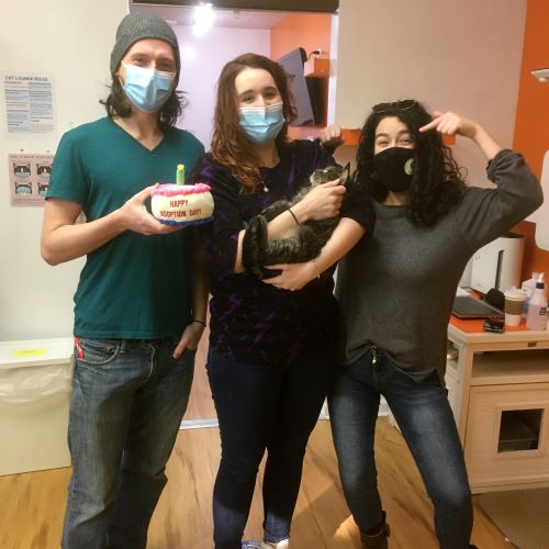 Adoption #227: Taleggio