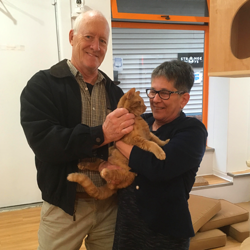 Adoption #27: Ted