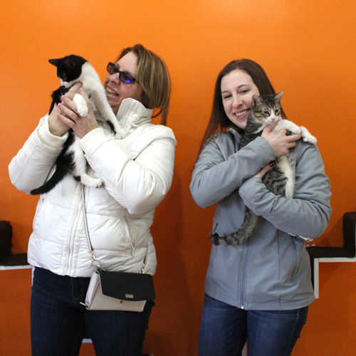 Adoptions #50 & #51: Telly & Archie