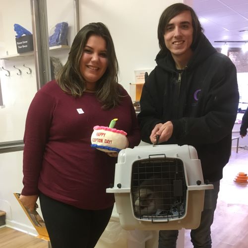 Adoption #107: Ting