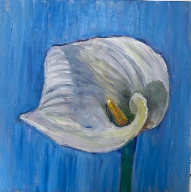 LILY II