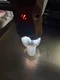 carousel chooser