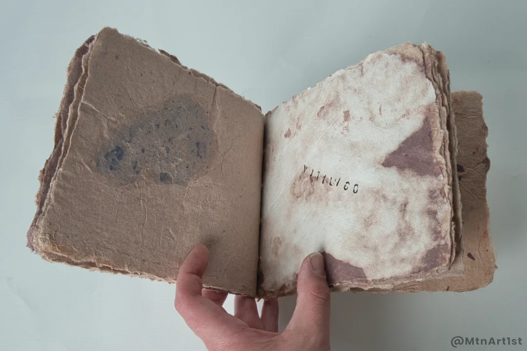 Stabbook by Sampson. Links to Skin Deep series page.