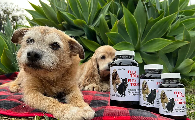 Flea Treats  500 tablet bottle