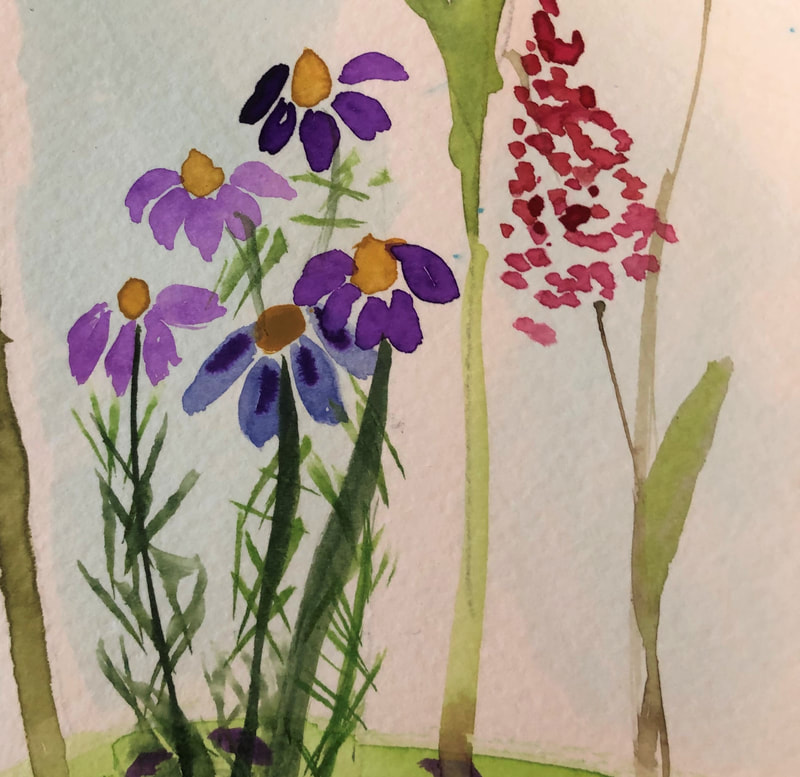 Hello, Purple Coneflower ...