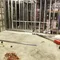 carousel chooser
